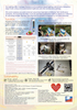 Color Assessment Color Matching Light 200~800Lux 3000k~6000k CT Accurate CT & Lux Lamp - Portable Model 2